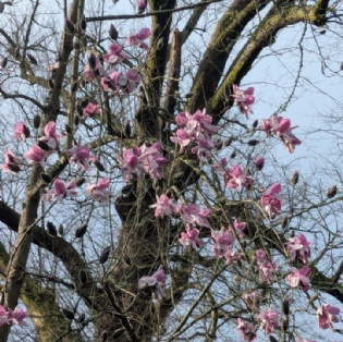  Parent/Carer Update - 06/03/26 